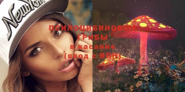 дживик Верея